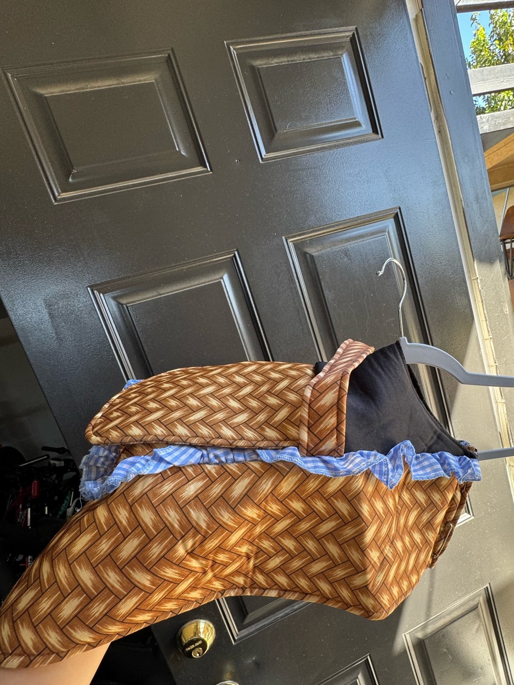 Dog Costume Basket